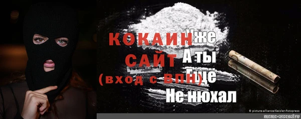 трава Арсеньев