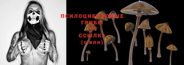 стаф Армянск