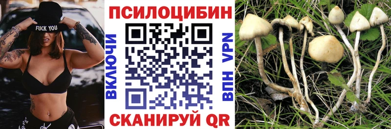 Галлюциногенные грибы ЛСД  Тогучин 